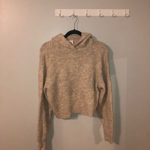 Aritzia Cropped Oversized Sweatshirt